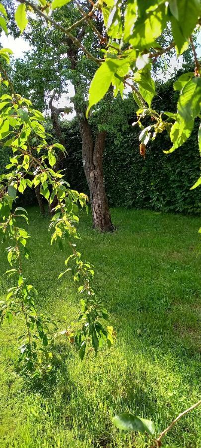 Le Gai Pinson Βίλα Beausaint Εξωτερικό φωτογραφία